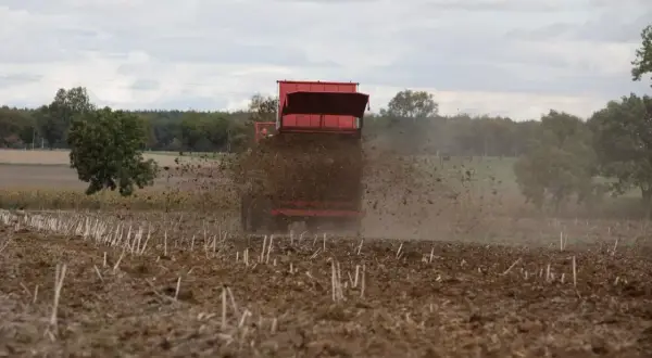 Czerwony rozrzutnik rozsypuje obornik na polu, przygotowując ziemię do nowego sezonu.