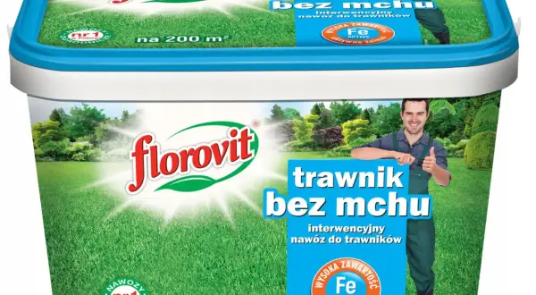 Nawóz antymech kiedy stosować, aby skutecznie zwalczyć mech w trawniku