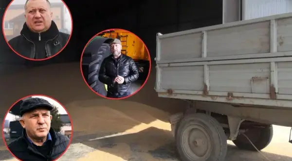 Jak otworzyć skup zboża i uniknąć najczęstszych błędów?
