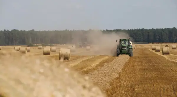 Ile kosztuje kostka siana? Sprawdź ceny i porównaj oferty w Polsce