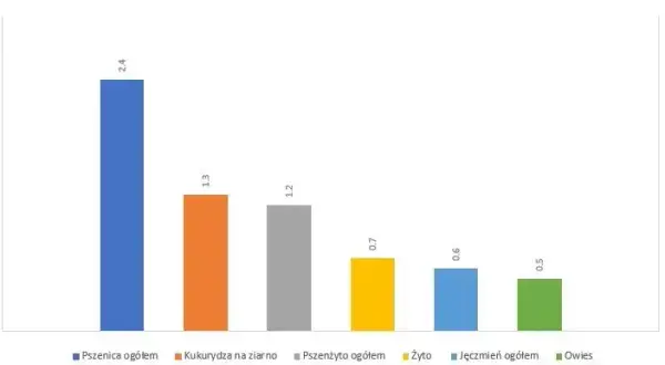 Ile zboża produkuje Polska? Zaskakujące dane o produkcji zbóż