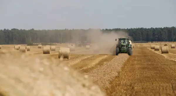 Na polu stoją okrągłe bele siana, a zielony traktor zbiera je, wzbijając tumany kurzu. Zastanawiasz się, ile kosztuje bela siana?