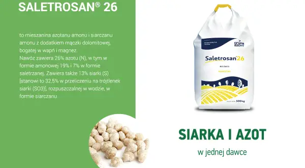 Saletrosan 26 - nawóz z siarką i azotem. Torba z nawozem Saletrosan 26 i granulki nawozu.
