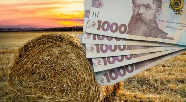 Kto uprawia zboże na Ukrainie? Poznaj największych producentów i rolników
