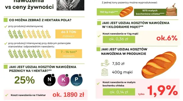 Plan nawozowy: 25% kosztów pszenicy na hektar to ok. 1890 zł. Koszt nawożenia 1 kg mąki to 0,36 zł (6%), a małego bochenka chleba 0,14 zł (1,9%).
