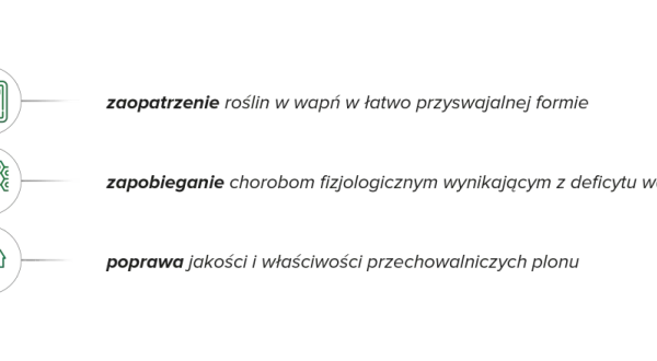 Wapń w łatwo przyswajalnej formie dla roślin. Wapnovit zapobiega chorobom i poprawia jakość plonów.