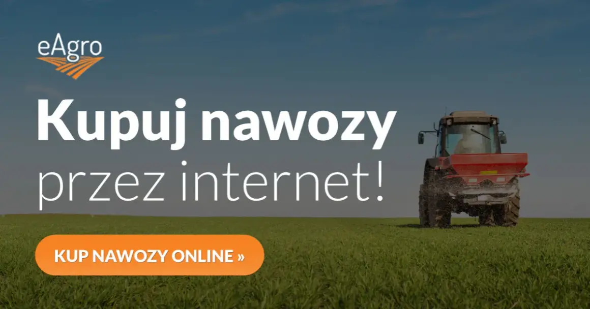 Kiedy stosować nawozy fosforowe i potasowe, aby uniknąć błędów w uprawach
