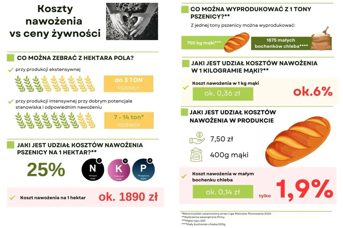 Plan nawozowy: 25% kosztów pszenicy na hektar to ok. 1890 zł. Koszt nawożenia 1 kg mąki to 0,36 zł (6%), a małego bochenka chleba 0,14 zł (1,9%).