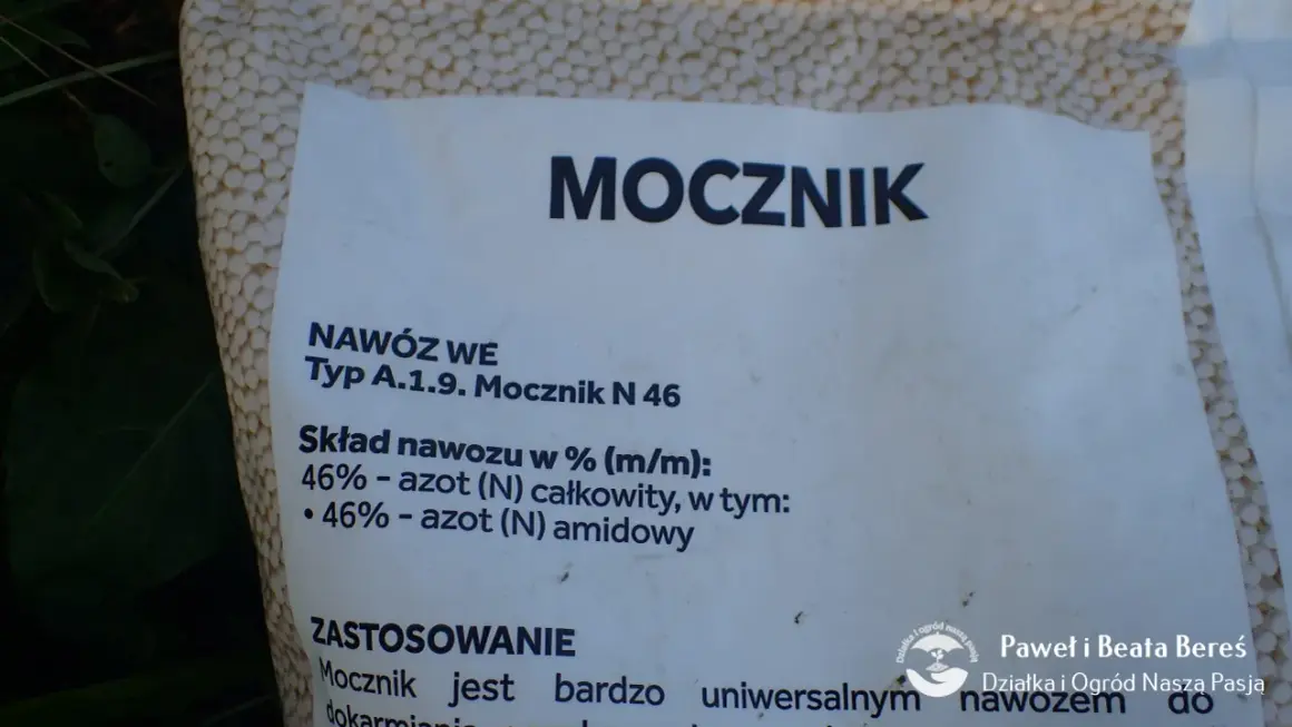 Etykieta nawozu "Mocznik N 46" informuje o składzie. Aby przygotować roztwór, należy sprawdzić zalecenia producenta, ile kg mocznika na 300l wody będzie optymalne.