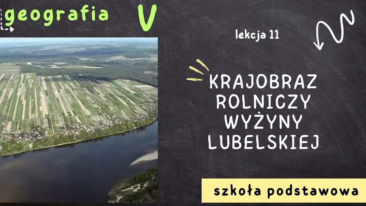 Zdjęcie Co uprawia się na wyżynie lubelskiej? Poznaj najważniejsze rośliny