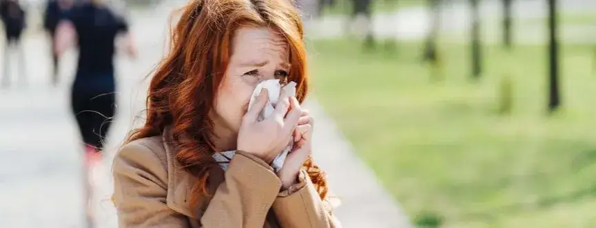Zdjęcie Kiedy pylą zboża? Sprawdź, jak uniknąć alergii w sezonie pylenia