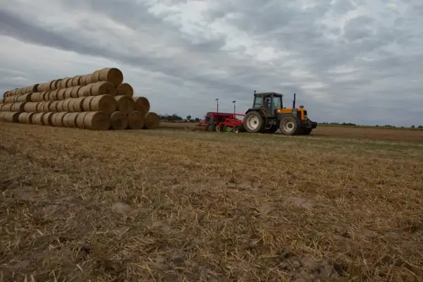 Sąsiek ze słomy piętrzy się na polu, obok pracuje traktor z siewnikiem.