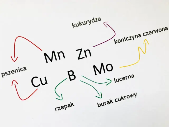 Makro i mikroelementy w nawożeniu - co naprawdę decyduje o plonie?